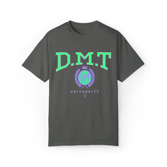 Unisex DMT Shirt (Alien Addition)